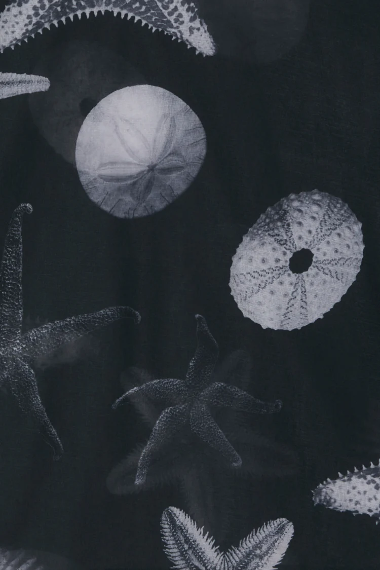 Black Seashell Mesh T Shirt - Image 11