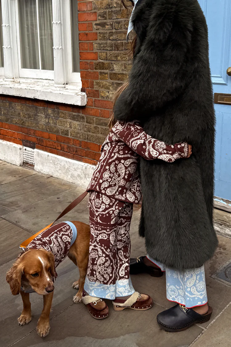 Chocolate Bandana Dog Jumper - Image 5