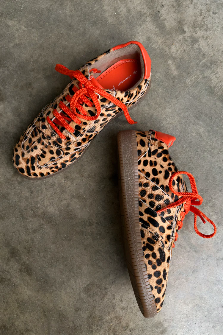 Leopard Pony Trainer - Image 2