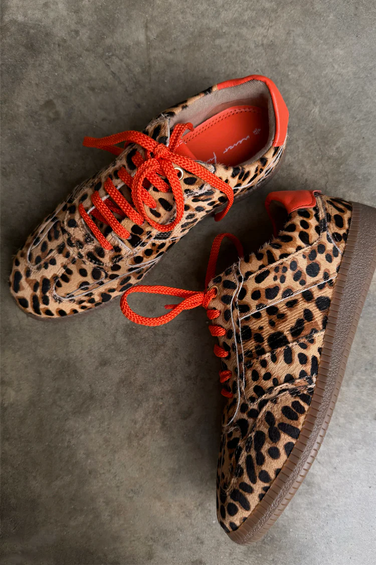 Leopard Pony Trainer - Image 7