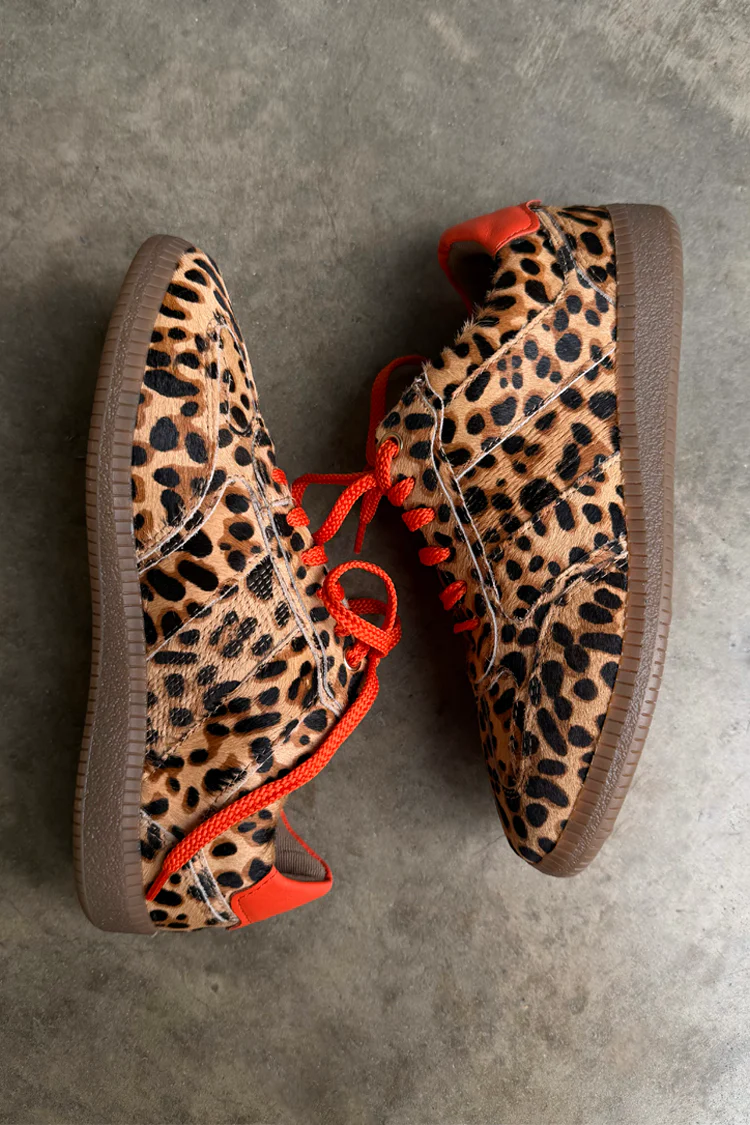 Leopard Pony Trainer - Image 9