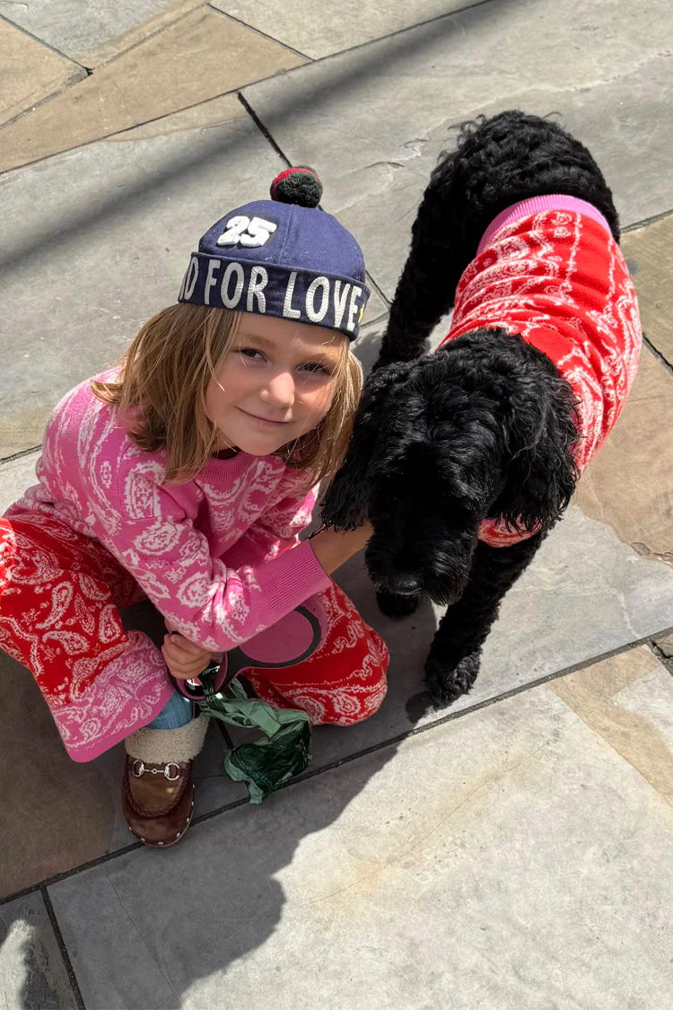 Red and Pink Bandana Dog Jumper - Image 3